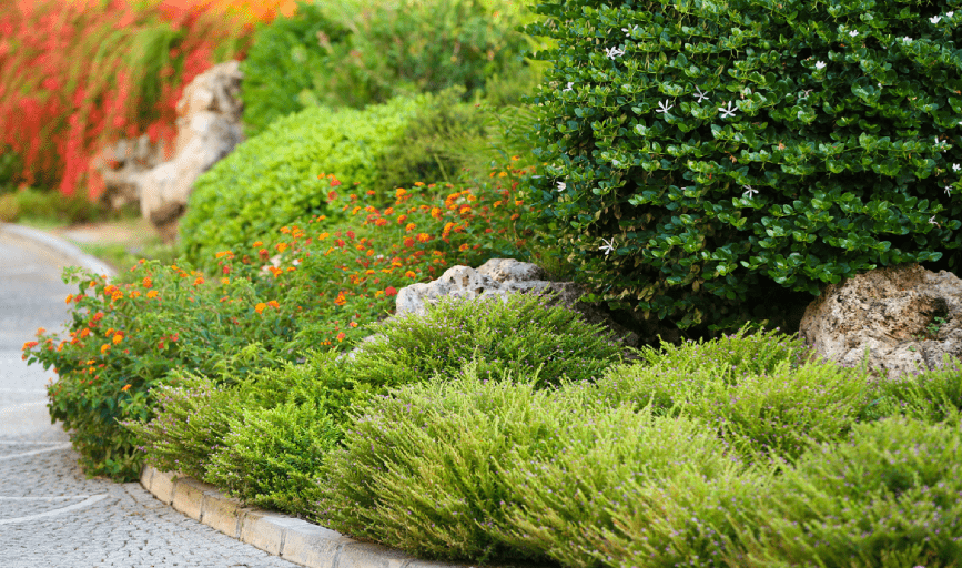 LANDSCAPING